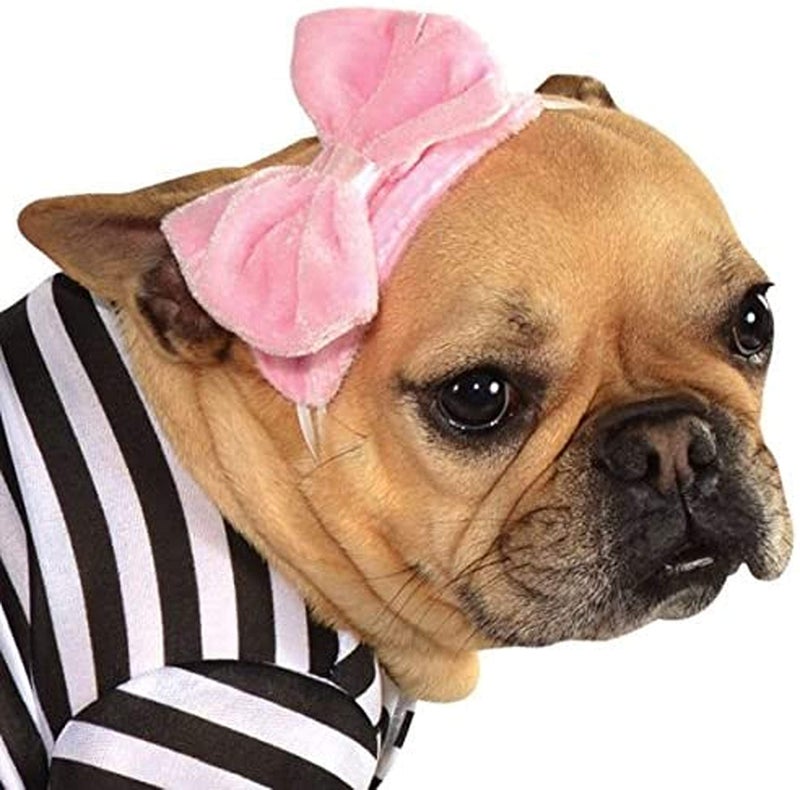 Rubies Fifties Girl Pet Costume for Dogs or Cats, Medium - Image 2